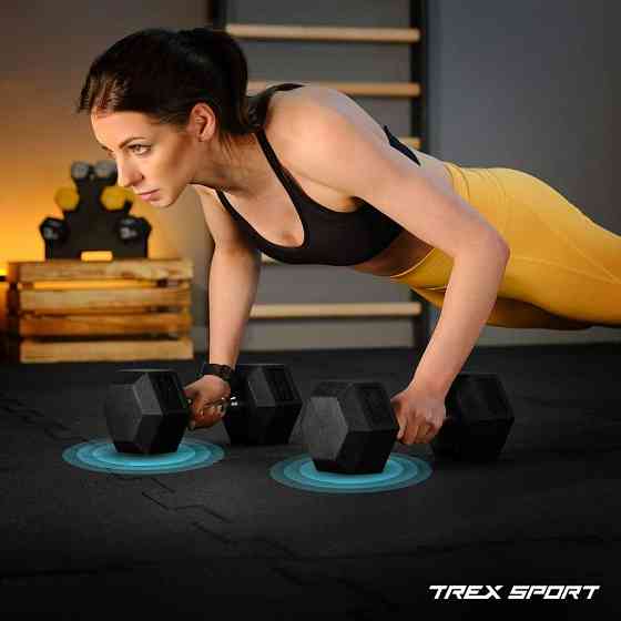 Гантеля шестигранна прогумована TX-100RD Trex Sport 10кг Киев