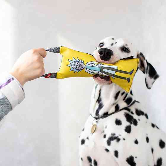 Іграшка для собак WAUDOG Fun з пискавкою, малюнок Рік і Морті 2, L, Ш 11 см, Д 26 см Київ