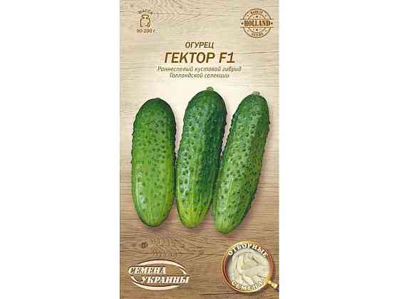 Огірок Гектор F1 ОВ 0,25г (20 пачок) (рс) ТМ НАСІННЯ УКРАЇНИ Київ