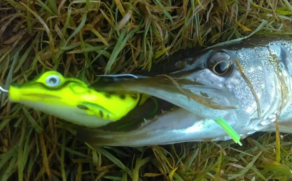 Воблер Лягушка жаба Незацепляйка на щуку с хвостиком Киев - изображение 2