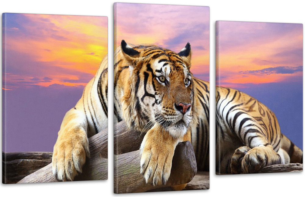 Модульна картина Тигр (53х100см) Art-209_3 Київ - фото 1