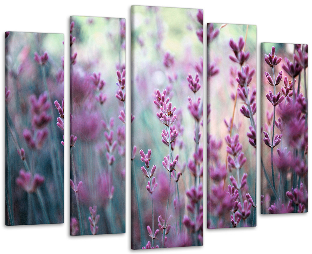 Модульная картина Лаванда Art-61_5 105x150 см Киев - изображение 1