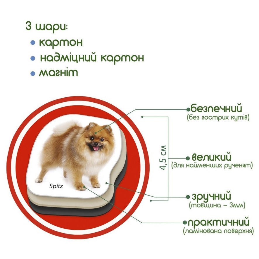 Дитячий розвиваючий набір магнітів "Породи собак" ML4031-20EN 24 фотомагніти Вінниця - фото 4