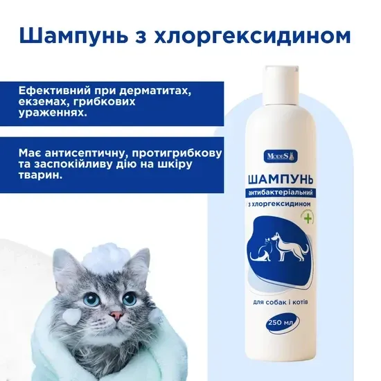 Шампунь антибактеріальний з хлоргексидином для собак і котів, 250 мл, MODES Вінниця - фото 3