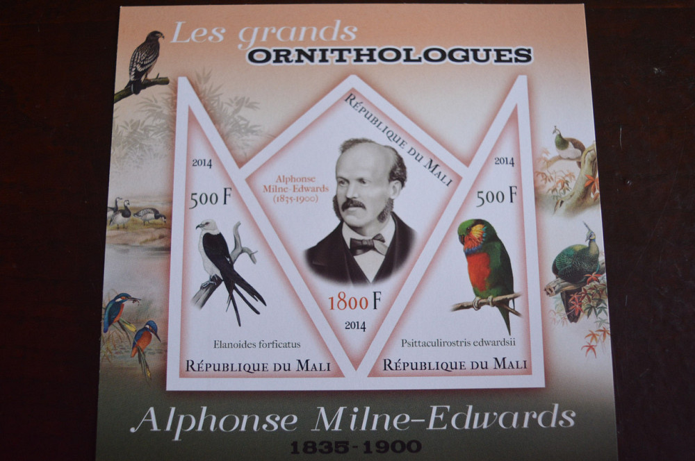 Марки. Фауна. Блок. 2013 год (А-30) Полтава - изображение 1