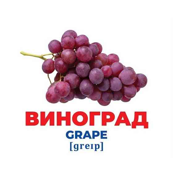 Набор развивающих карточек Гений с пеленок 