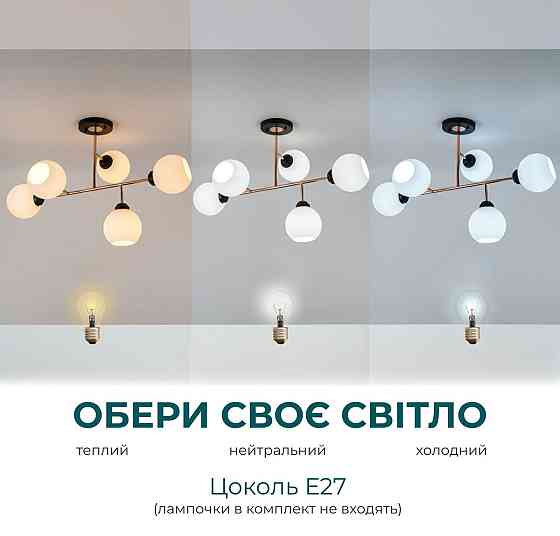 L0006-5 BK+FGD Коломия