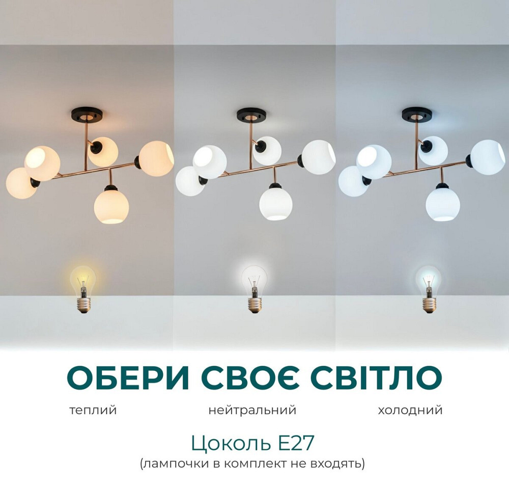 L0006-5 BK+FGD Коломыя - изображение 3