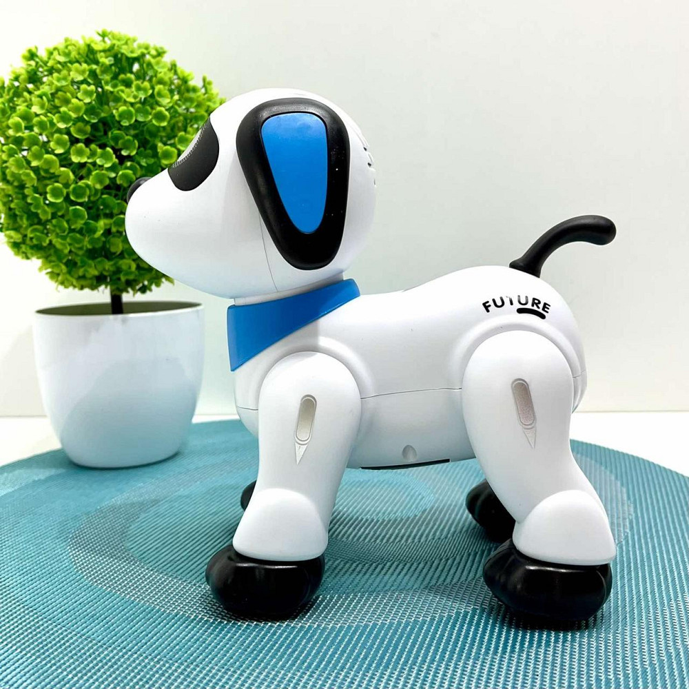 Робот на радіокеруванні TK Group Смартбот ходити танцює співає пісні укр мова Вид 2 Білий (41852) Чернігів - фото 7