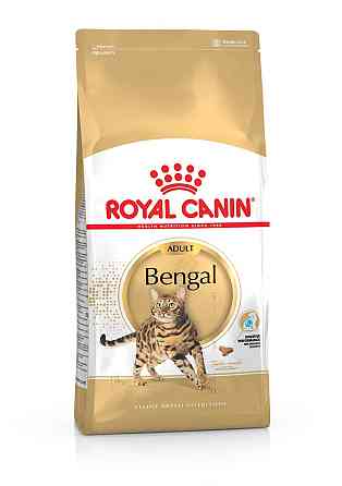 Роуал Canin Bengal Adult (Рояв Канін Бенгал) сухий корм для котів бенгальська від 12 місяців 2 кг. Запоріжжя