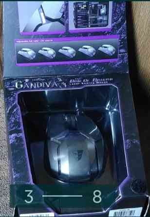 Миша Tesoro Gandiva H1L Киев