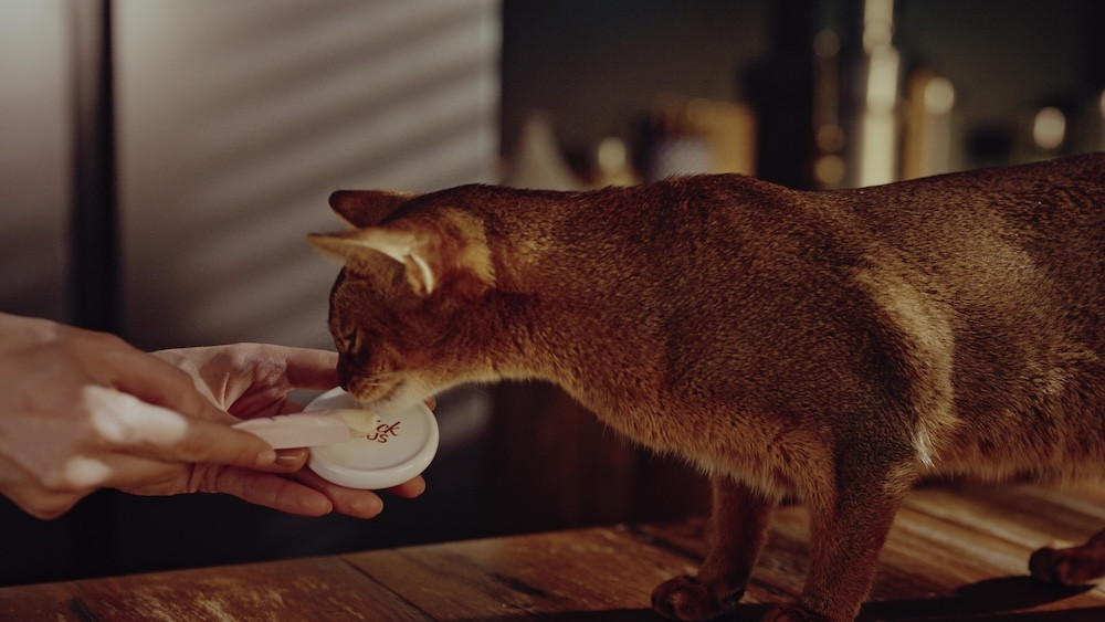 Крем-снеки для кошек Деликшес Delickcious дорада с добавлением папайи лакомства для кошек (4 шт х 15 г) Винница - изображение 4