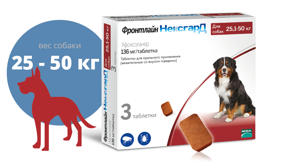NexGard XL (Фронтлайн Нексгард ХL) таблетки від кліщів і бліх для собак вагою від 25.1 до 50 кг Запоріжжя - фото 2