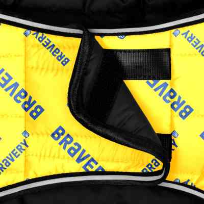 Курточка для тварин WAUDOG Clothes "Сміливість" S (503-0231) Вінниця