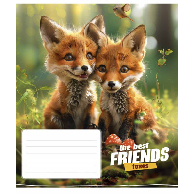 Тетрадь Школярик The best friends 12 аркушів коса лінія (012-3434C) Винница - изображение 5