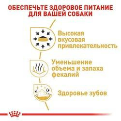 Royal Canin Chhuahua Adult (Рояв Канін Чіхуахуа Едалт) сухий корм для собак чіхуахуа від 8 місяців 1.5 кг. Запоріжжя - фото 3
