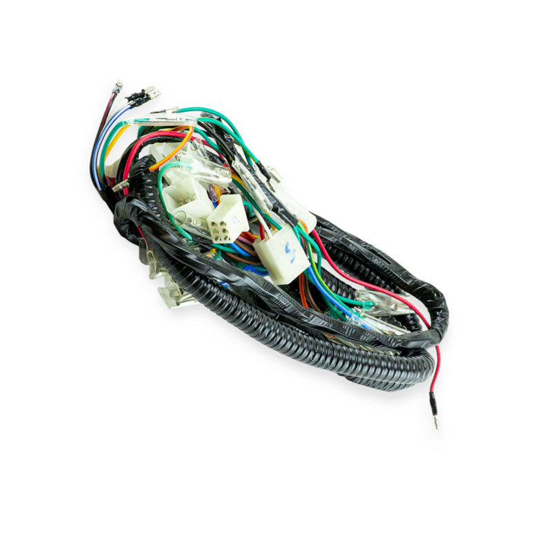 Проведення Альфа Мукачево - фото 1