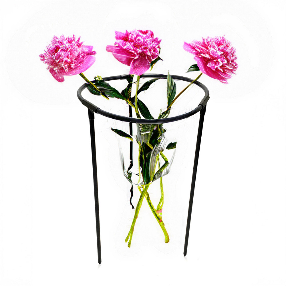 Кільцева опора Pivonia D50*80 см для півонії, троянд та інших рослин. Підтримка для рослин Борисполь - изображение 1