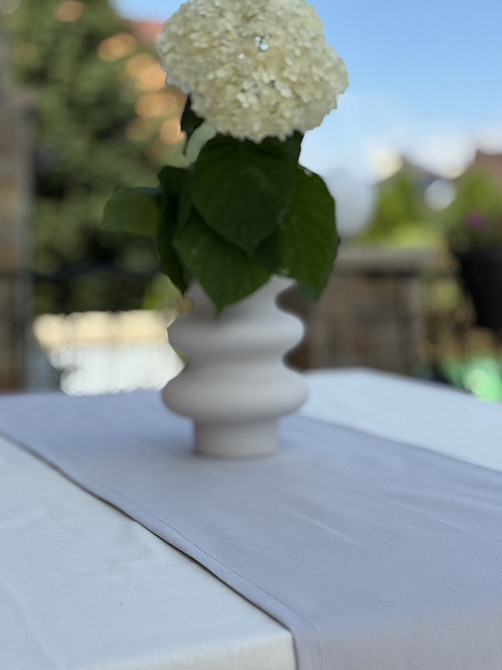 Ecotton Ранер доріжка Ecotton DUCK 45x170 см для обіднього столу водовідштовхувальна сірого кол Коломыя - изображение 2