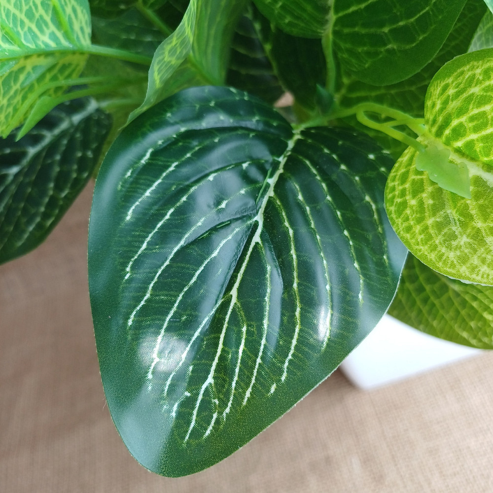 Штучний кущ фітонії із латексу Дніпро - фото 4