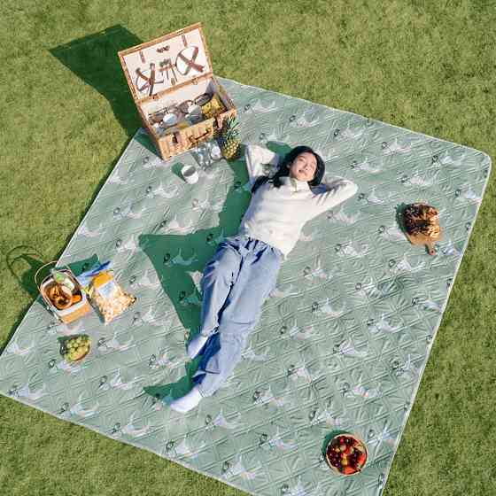 Килимок для пікніка Naturehike CNK2350WS010 210*240 см, блакитний із принтом Київ