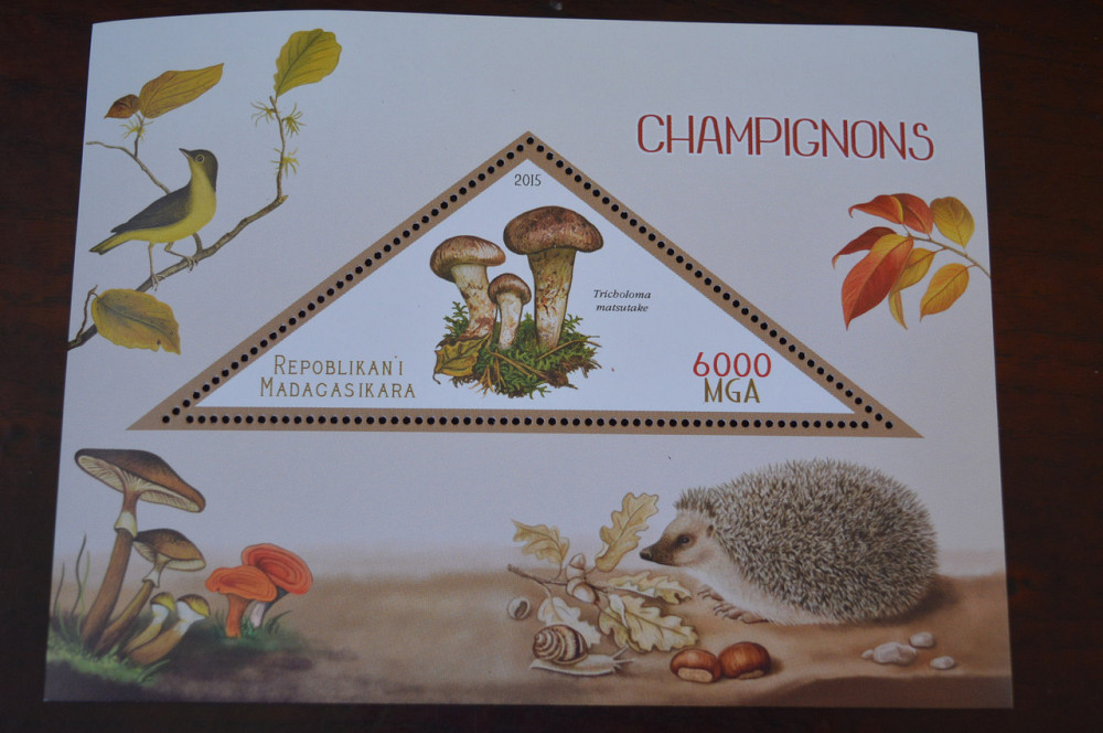 Мадагаскар. Фауна. Личности. Блок. 2014 р. (А-34) Полтава - фото 1