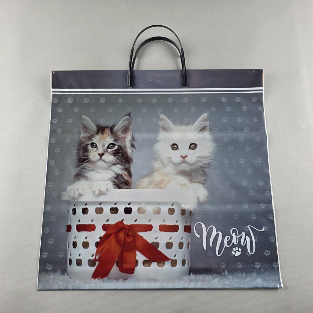 Пакет с пластиковой ручкой (36х37)  