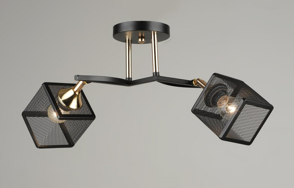 SIRIUS Люстра стельова Sirius N5708/2 на 2 плафони Київ - фото 1