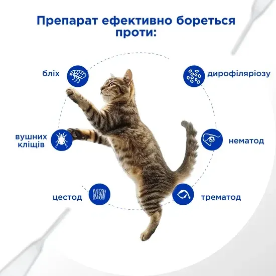 Селавет (Selavet) противопаразитарные капли для кошек от 7,6 кг до 10 кг, 1,0 мл, MODES Винница