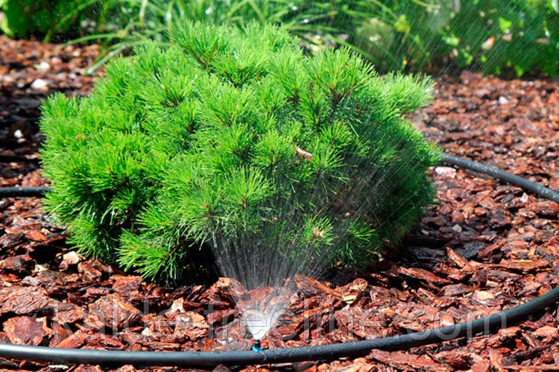 Мікроджет Presto-PS крапельниця для поливу Крокус 43 л/год 90° (7717) Харьков - изображение 6