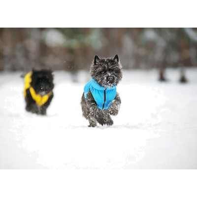 Курточка для животных Collar AiryVest "Colors of freedom" S 30 (4442-4020) Винница - изображение 7