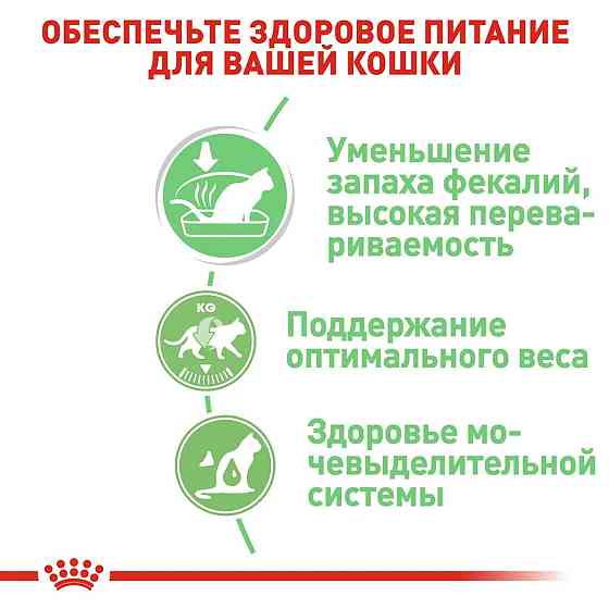 Royal Canin Digest Sensitive Gravy (Роял Канін) вологий корм для кішок для шлунку 85 г х 12 шт Запоріжжя