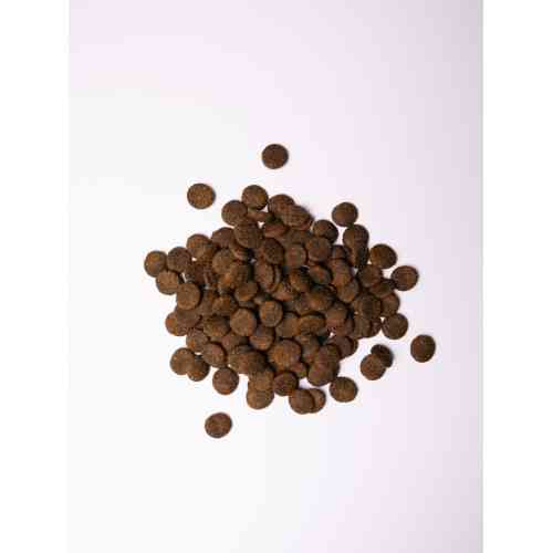 Корм сухий Savory Large Breeds rich in Fresh Turkey and Lamb для дорослих собак великих порід від 25 кг зі свіжим ягням та і Київ