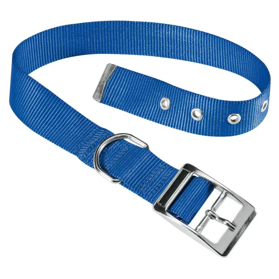 Нейлоновый ошейник для собак Ferplast Club CF (Ферпласт Клуб СФ) CF20/43 - A: 35-43 cm B: 20 mm, Синий Запорожье