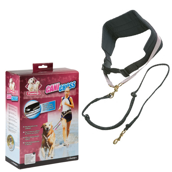 Flamingo Canicross ФЛАМІНГО КАНІКРОСС пояс з повідцем для бігу та прогулянок із собакою Київ - фото 1