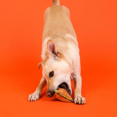 Игрушка для собак Outward Hound Xtreme Seamz Lion (0700603698849) Винница - изображение 8