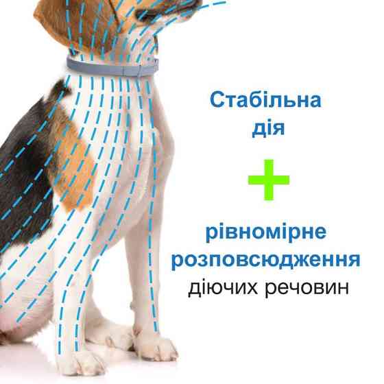 Foresto Bayer Animal (Форесто Байєр) нашийник 70 см від бліх і кліщів для собак і котів 8 кг Запоріжжя