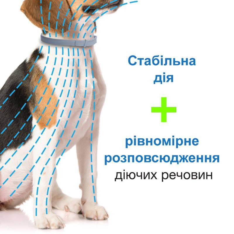 Foresto Bayer Animal (Форесто Байєр) нашийник 70 см від бліх і кліщів для собак і котів 8 кг Запоріжжя - фото 6