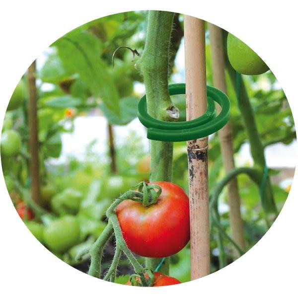 Затискачі для кріплення рослин ⌀30мм 50шт. Bradas, Польща Київ - фото 2