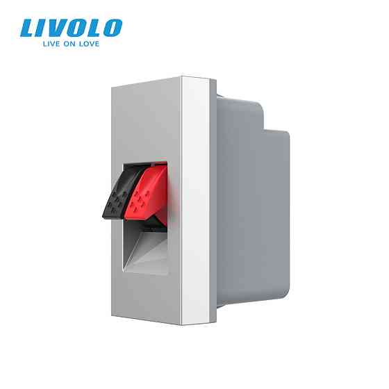 LIVOLO Hi-Fi аудіо розетка LIVOLO (Banana), сіра, для колонок і підсилювачів, модуль 0.5 поста Коломия