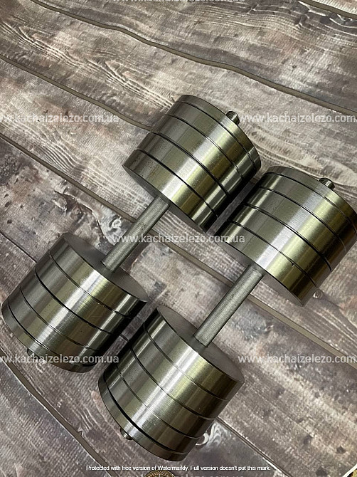 Гантелі набірні 2 по 46 кг Гантелі, гирі, штанги та диски металеві без покриття Київ - фото 1