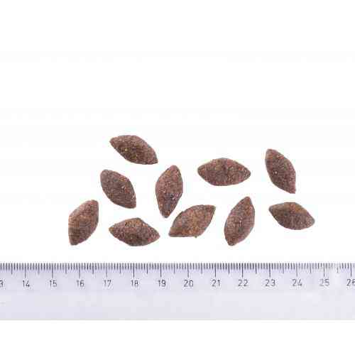 Корм сухой Brit Care Dog Sustainable Activity для взрослых собак с повышенной активностью с курицей и насекомыми 3 кг Киев