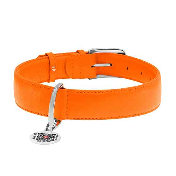 Нашийник для собак шкіряний WAUDOG Glamour з QR паспортом, без прикрас, XL, Ш 35 мм, Дов 46-60 см помаранчевий Київ