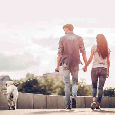 Поводок для собак WAUDOG R-leash светоотражающая лента XS-M до 40 кг 2.9 м розовый (81277) Винница