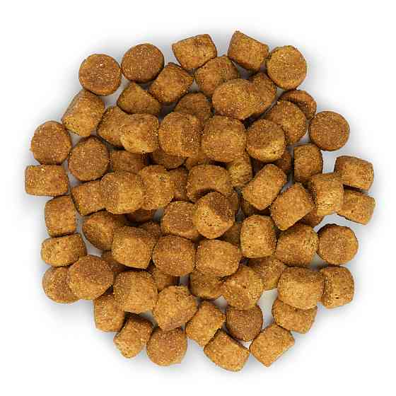 Hills Science Plan Puppy Large Breed Chicken (Хиллс СП Паппи Лардч) для щенков крупных пород до 1,5 лет 14.5 кг Запорожье