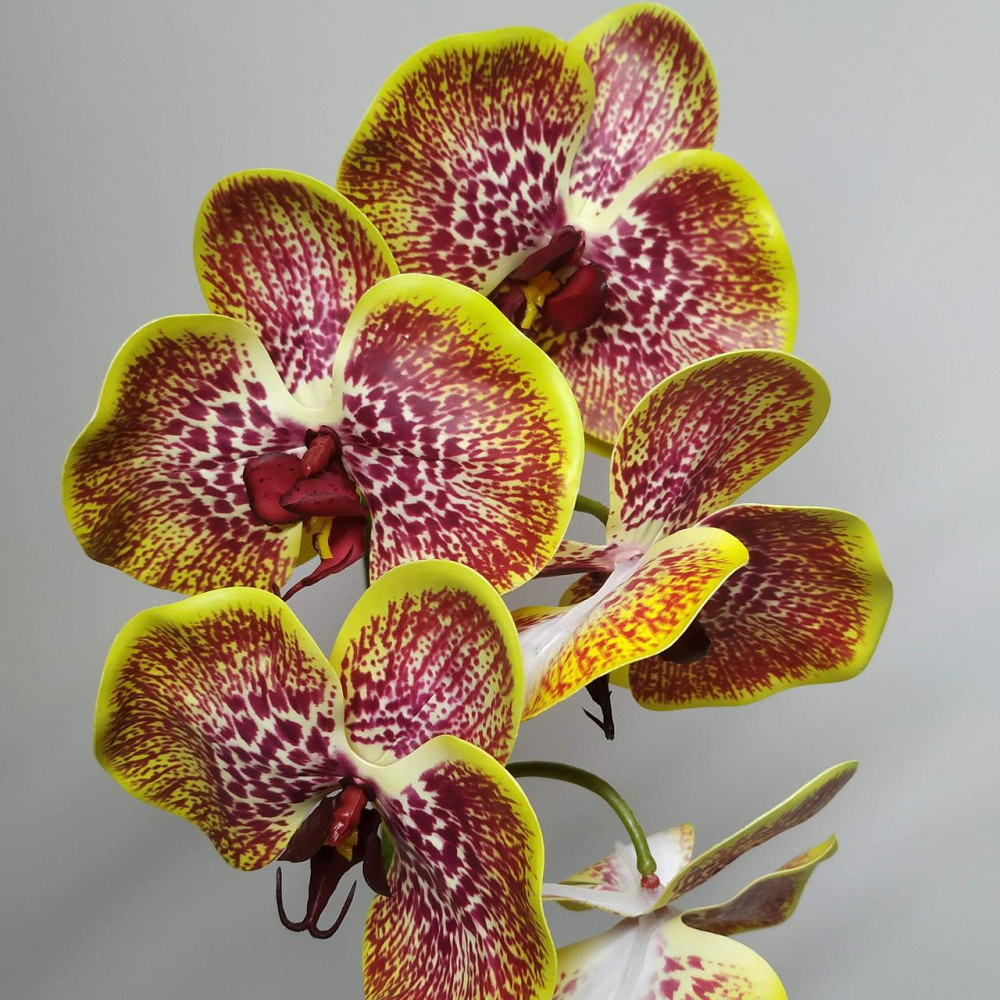 Штучна латексна орхідея VIP у жовтому керамічному кашпо на одну гілку жовто-червона. Дніпро - фото 3