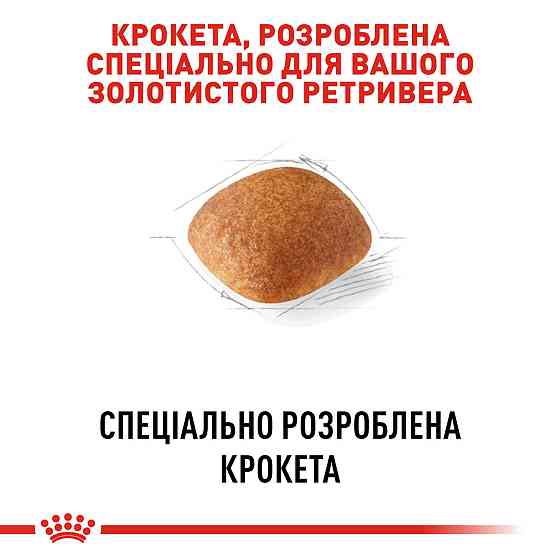 Корм для дорослих собак породи Золотистий ретривер ROYAL CANIN GOLDEN RETRIEVER ADULT 12.0 кг Київ
