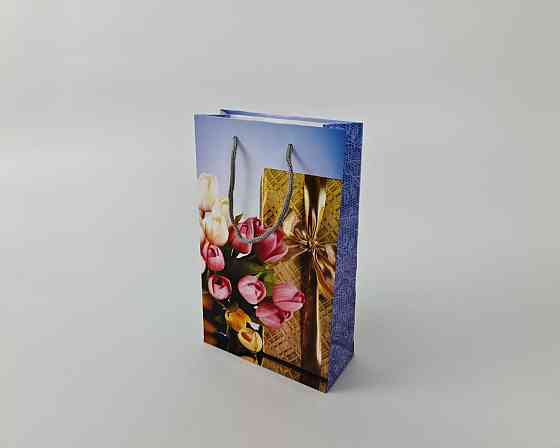 Паперовий пакет подарунковий Середній 17/26/8 (артSV-102) (12 шт.) Харків