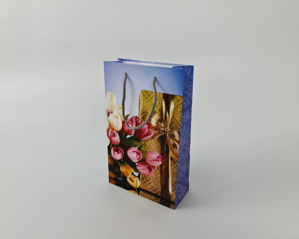 Паперовий пакет подарунковий Середній 17/26/8 (артSV-102) (12 шт.) Харків - фото 4