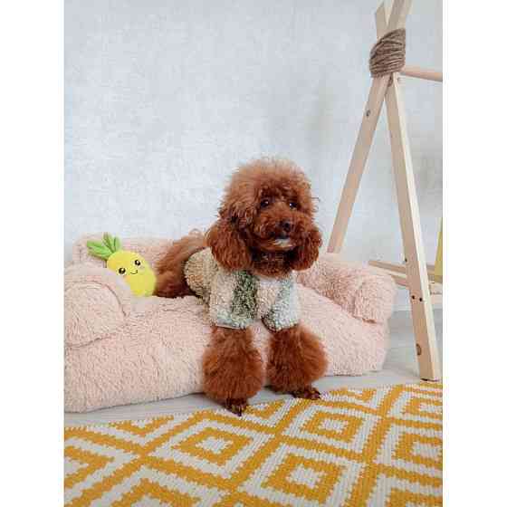 Хутряний диван лежак для собак і кішок спальне місце для тварин знімни Incor бежевий 10079 L (100х60х30) Київ